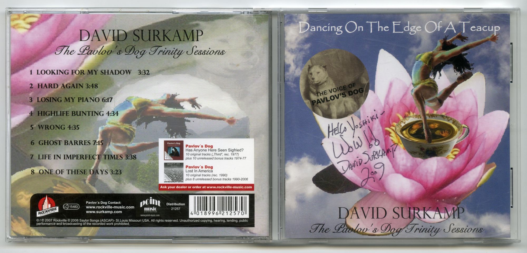 David Surkamp『Dancing On The Edge Of A Teacup』01